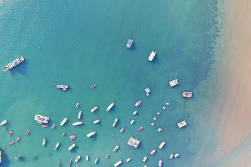 全国两会上青岛市长赵豪志强调海水养殖技术研发的重要性