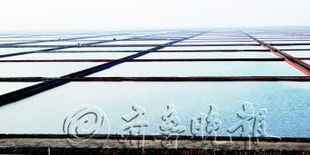 汇泰集团 以海水养殖技术研发引领环境友好型企业建设