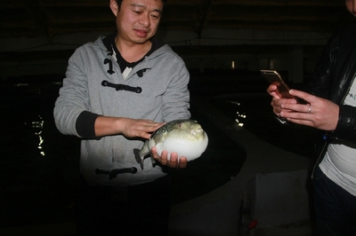 大连启航“海鱼陆养”保险，海水养殖技术研发迎来新机遇