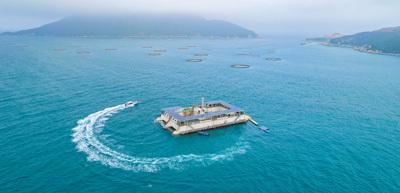 海洋牧场 以绿色养殖与技术研发驱动海水养殖的未来