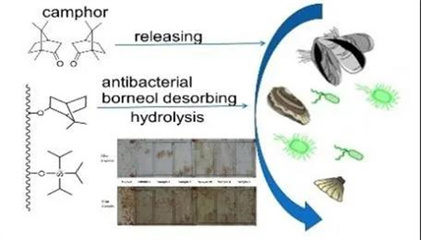 国家海洋设施养殖工程技术研究中心硕士研究生招生 聚焦海水养殖技术研发