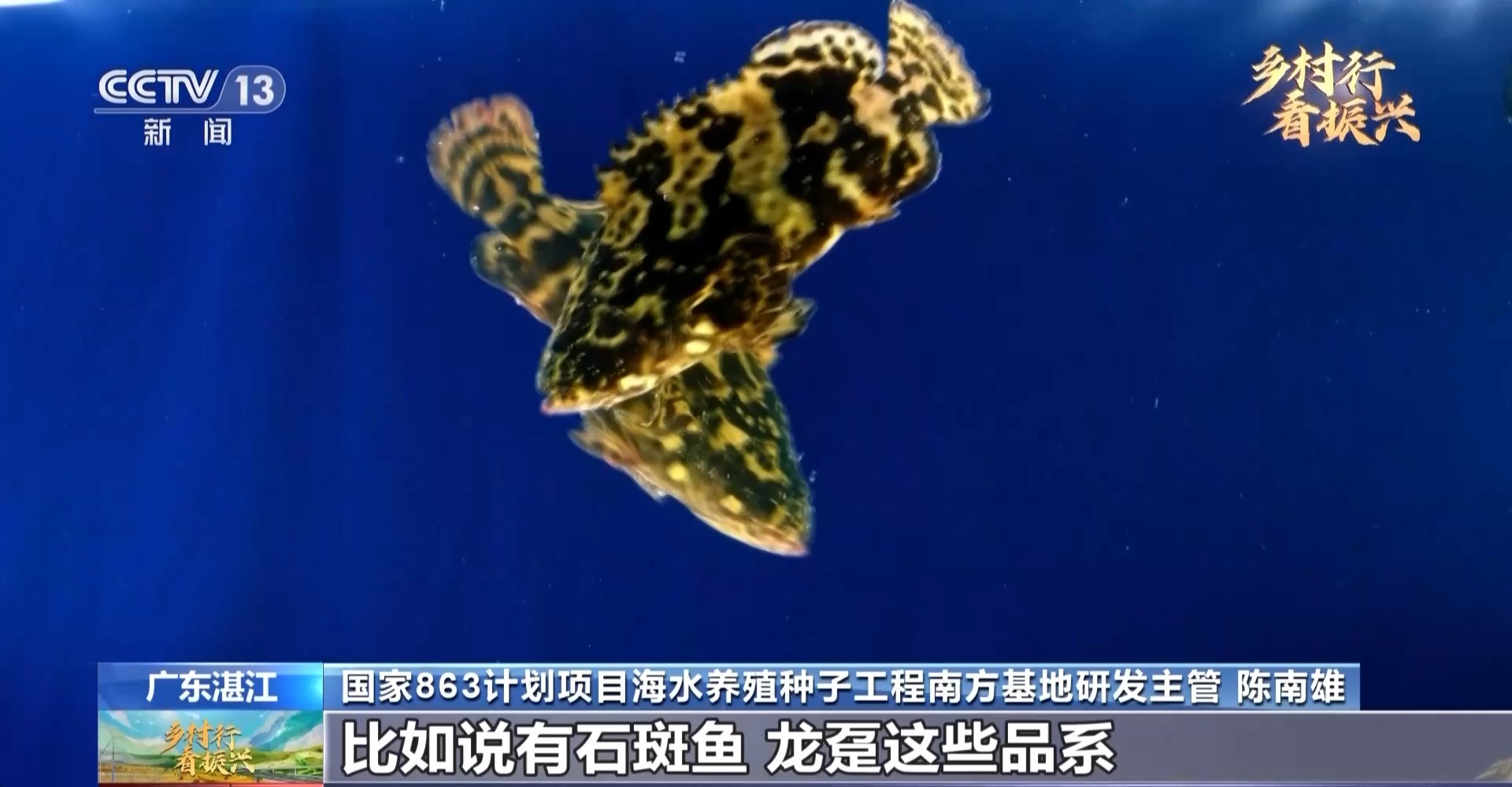 闲不住的“80后”叶富良 一定要把这口气争回来，有我们自己的种虾