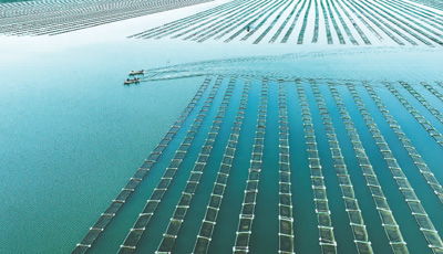 图片报道 海水养殖技术研发的新纪元