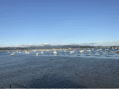 蓝色牧场财富多——生态中国沿海行之福建霞浦海水养殖技术创新