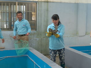 广西防城港 海鑫鑫水产科技深耕海水石斑鱼养殖与技术创新