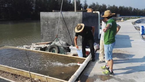 “共享池塘”引领海水养殖革新，天敌共存黑科技入选省级重点研发计划