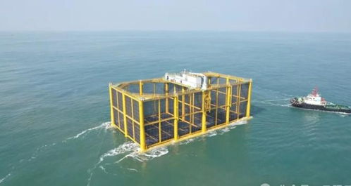 中国“海上粮仓”再添巨擘 6000吨三文鱼年产值超6亿，海洋养殖技术跻身世界前列
